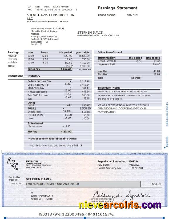 Construcion LLC earnings statement